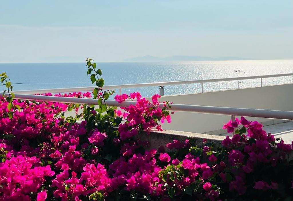 Апартаменты Sea, La Vie Saronida Экстерьер фото